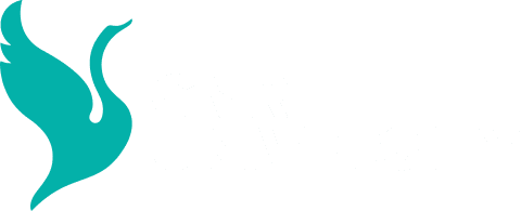 CMR University
